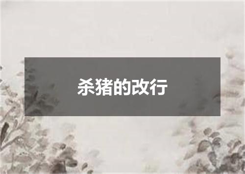 杀猪的改行