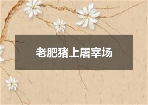 老肥猪上屠宰场