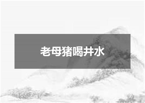 老母猪喝井水
