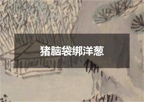 猪脑袋绑洋葱