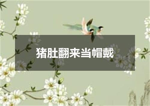 猪肚翻来当帽戴