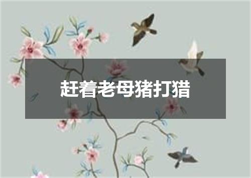 赶着老母猪打猎