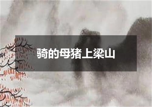 骑的母猪上梁山