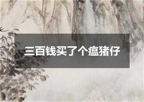 三百钱买了个瘟猪仔