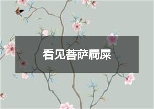 看见菩萨屙屎