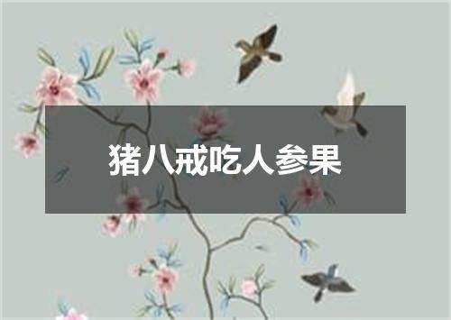 猪八戒吃人参果