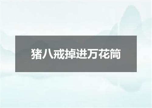 猪八戒掉进万花筒