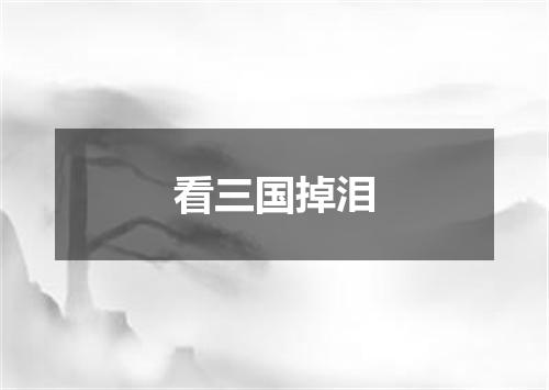 看三国掉泪