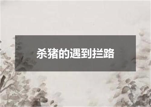 杀猪的遇到拦路