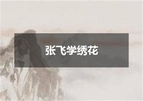 张飞学绣花