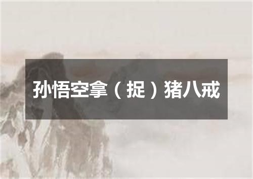 孙悟空拿（捉）猪八戒
