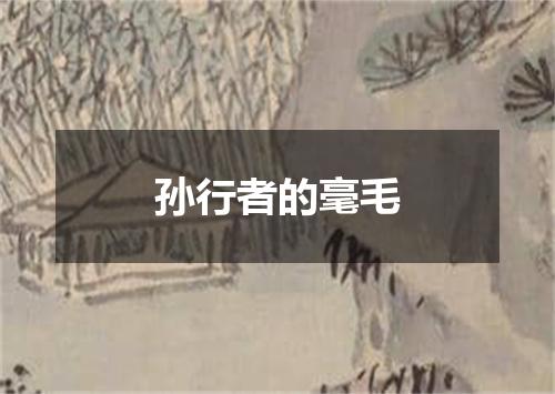 孙行者的毫毛