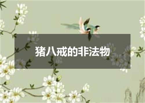 猪八戒的非法物