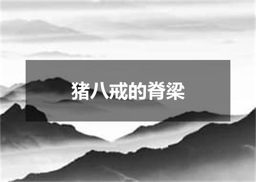 猪八戒的脊梁