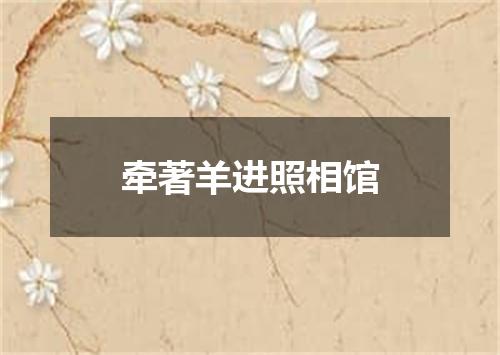 牵著羊进照相馆