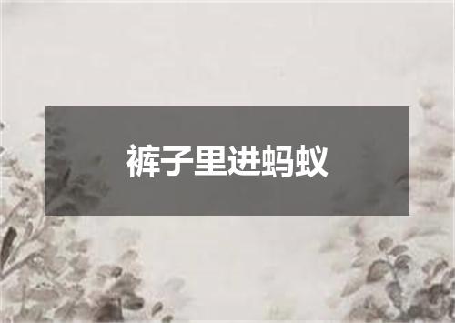 裤子里进蚂蚁