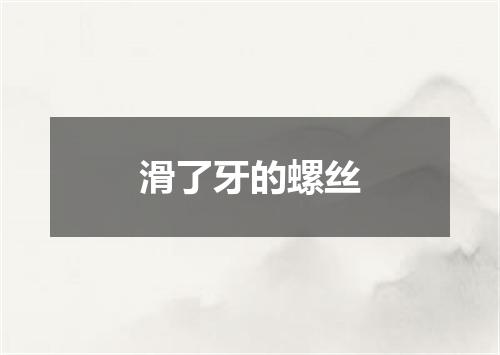 滑了牙的螺丝