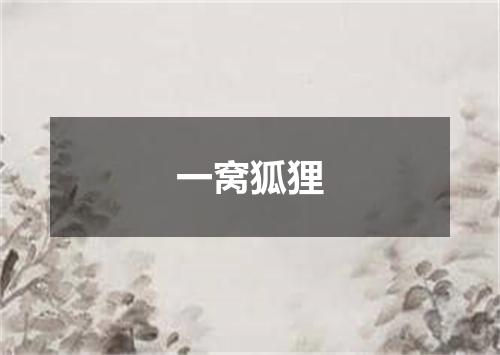 一窝狐狸