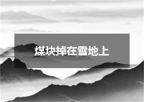 煤块掉在雪地上