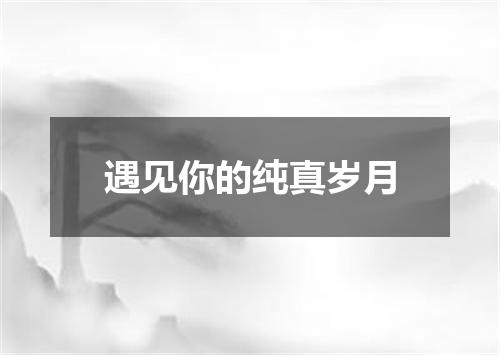 遇见你的纯真岁月
