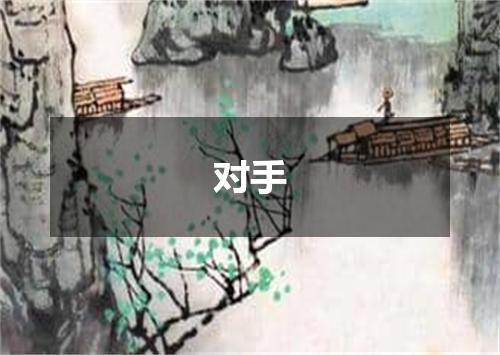 对手